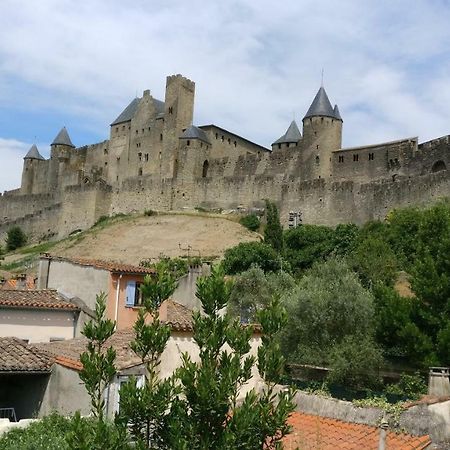 Montez Au Creneau, Face A La Cite Vue Sublime Lejlighed Carcassonne Eksteriør billede